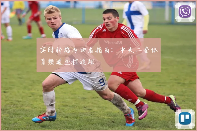 实时转播与回看指南：中央二套体育频道全程追踪