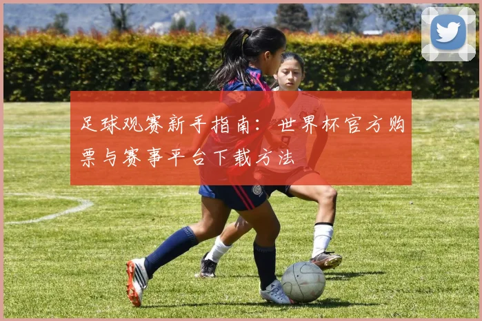 足球观赛新手指南：世界杯官方购票与赛事平台下载方法