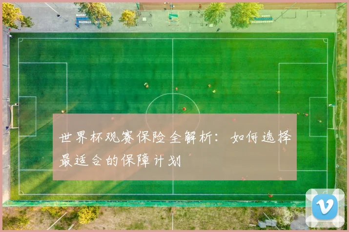 世界杯观赛保险全解析：如何选择最适合的保障计划