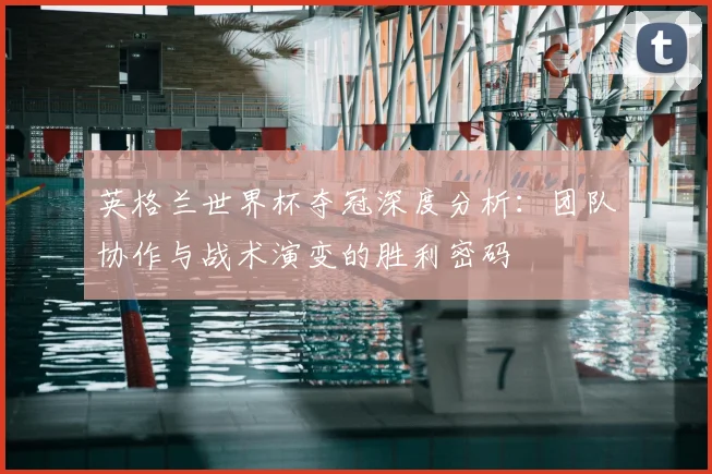 英格兰世界杯夺冠深度分析：团队协作与战术演变的胜利密码