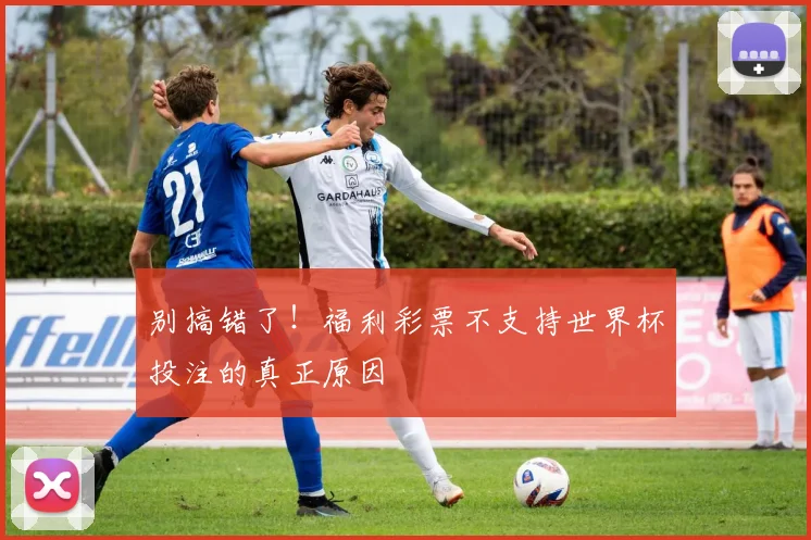别搞错了！福利彩票不支持世界杯投注的真正原因