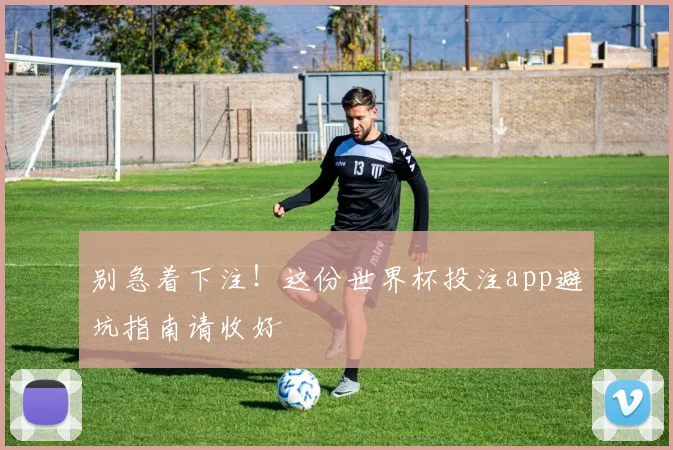 别急着下注！这份世界杯投注app避坑指南请收好